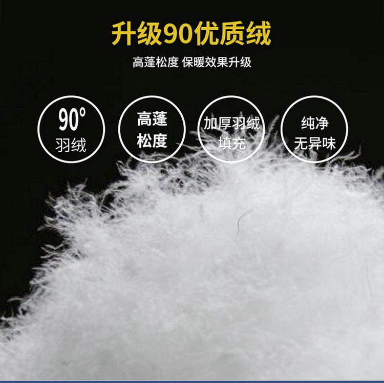 下載-(1)_看圖王_04