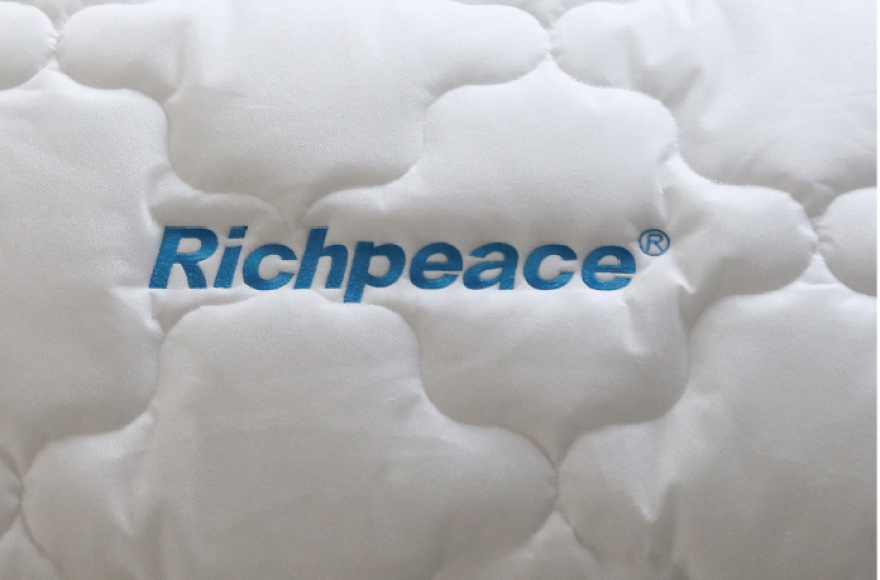 Richpeace Computerized Mattress Border Embroidery Machine