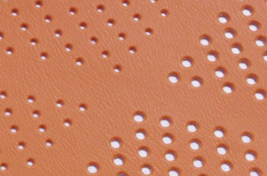 Richpeace Automatic High-speed Plate Mount Perforation Machine