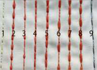 Touch Screen Single Step Pattern Computer Lockstitch Sewing Machine Touch Screen Single Step Pattern Computer Lockstitch Sewing Machine