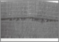 4-needle Flat-bed Double Ahain Stitch Sewing Machine 4-needle Flat-bed Double Ahain Stitch Sewing Machine