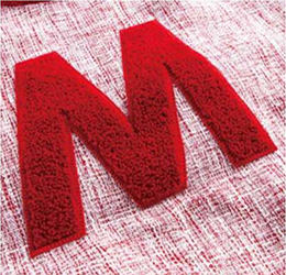 Richpeace Pure Chainstitch (Chenille) Embroidery Machine Richpeace Pure Chainstitch (Chenille) Embroidery Machine